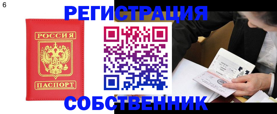 временная регистрация поиск в Псковской области
